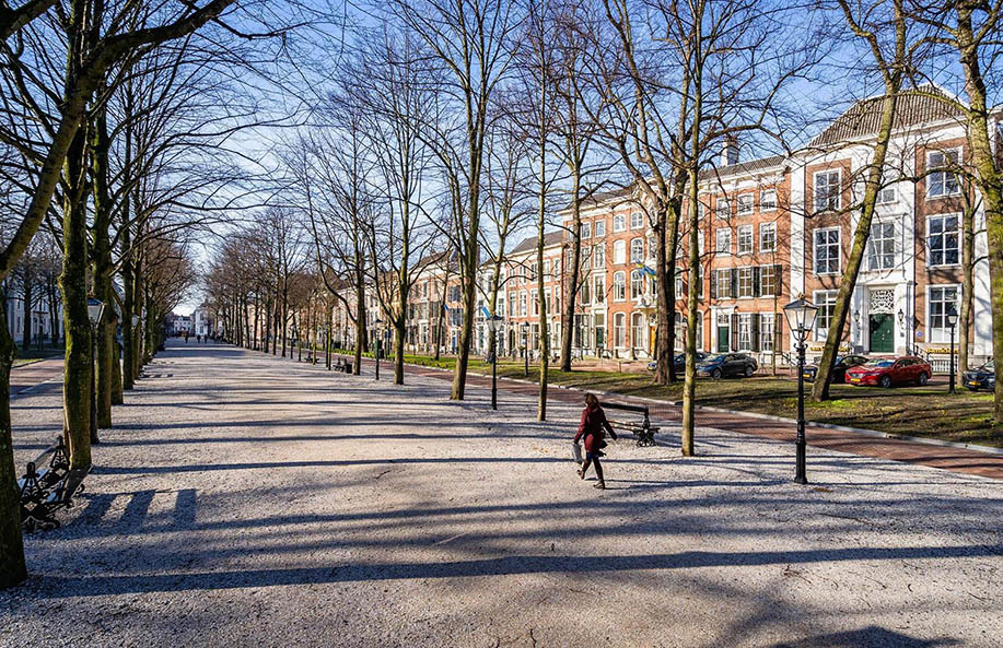Het Ontdekken van Den Haag: Stadsgezichten van de Nederlandse Pare