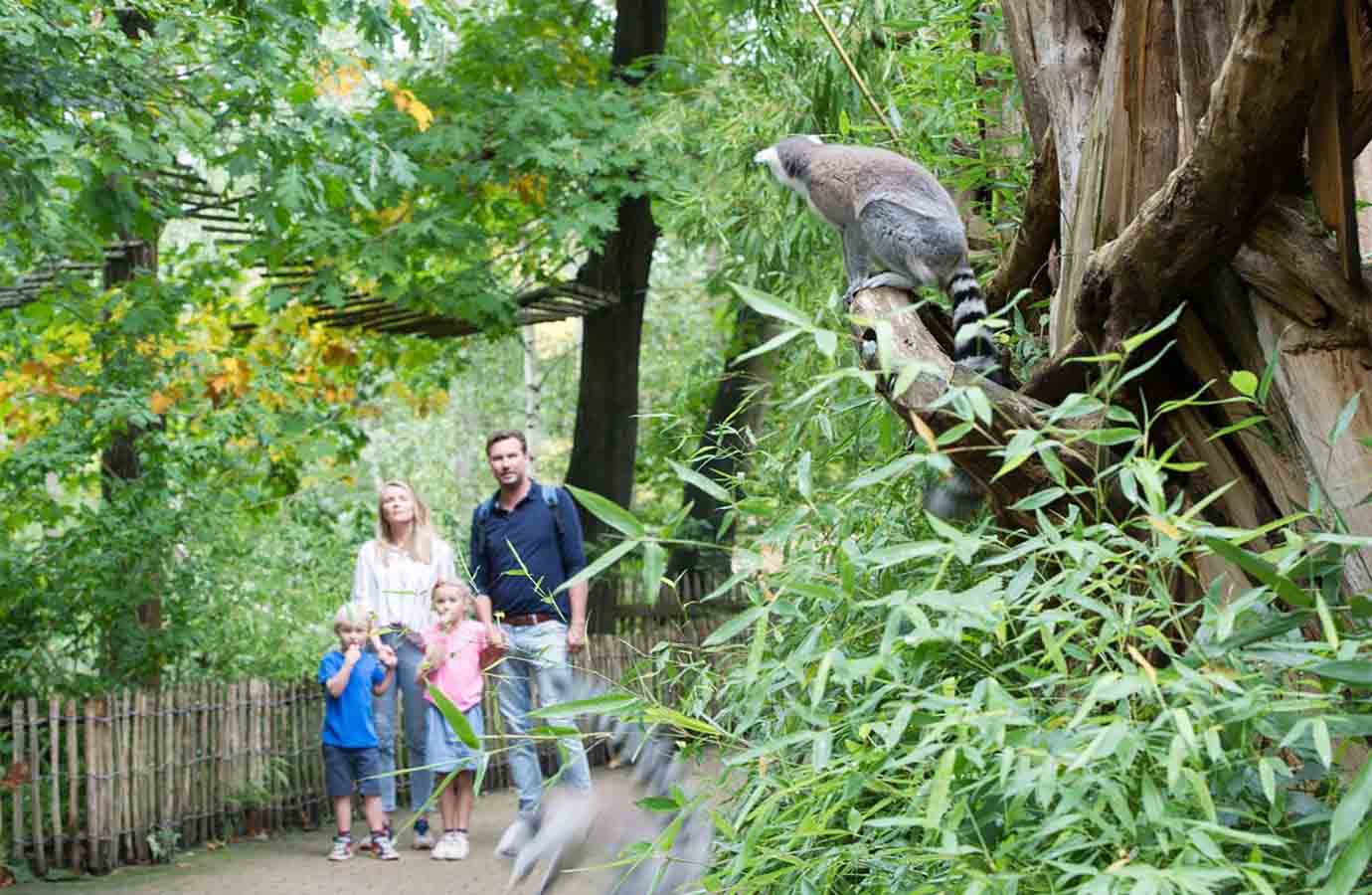Apeldoorn – Ein Muss auf deiner Städtereise